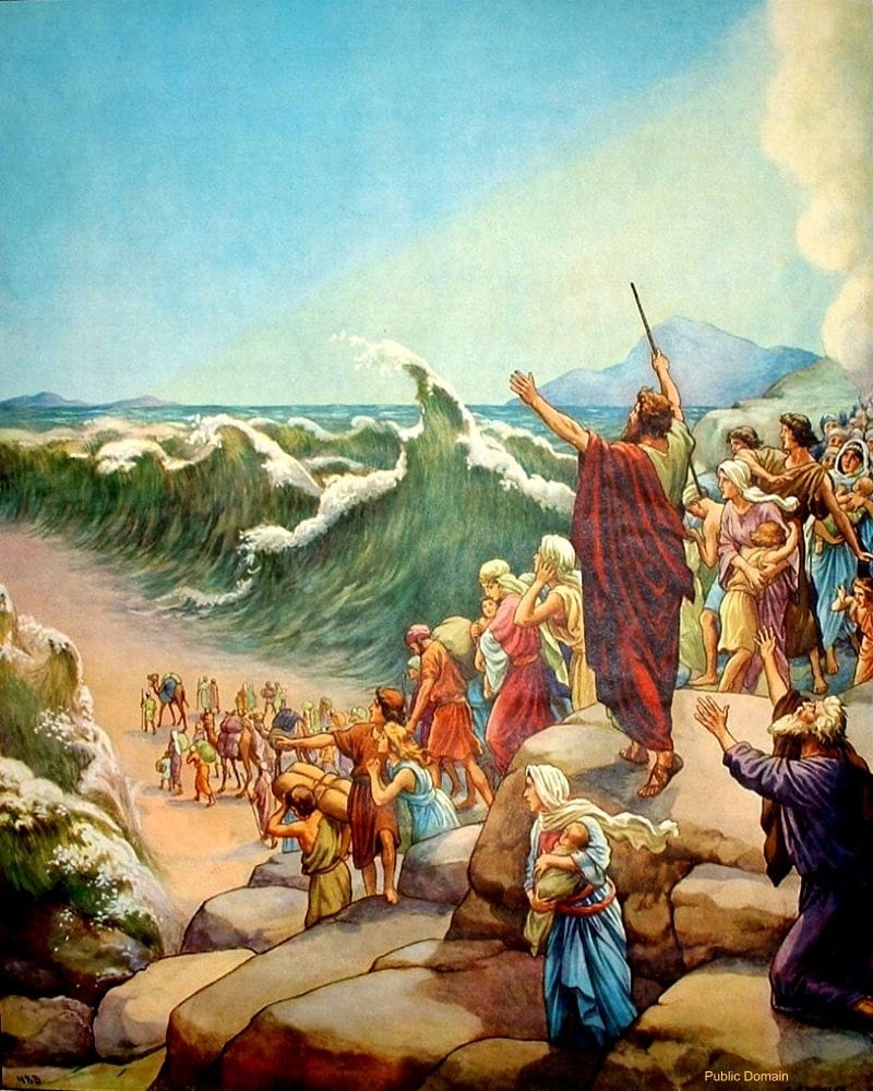 حكاية سيدنا موسى الجزء 1 من 12 من هو موسى؟