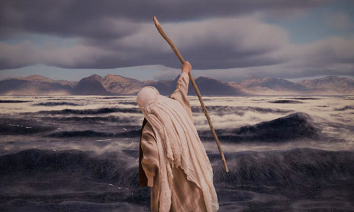 حكاية موسى الجزء 9 ألقينا بهم بحرا